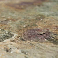 Каменный шпон EcoStone Auro (Ауро) 122х61см (0,74 м.кв) Слюда